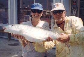 15 pound bonefish