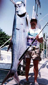 Huge Tarpon!
